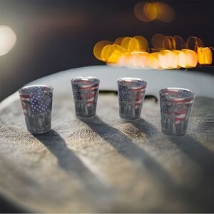 USA Flag New York USA Landscape  Frosted Smokey Black Shot Glasses Set of 4 NWT